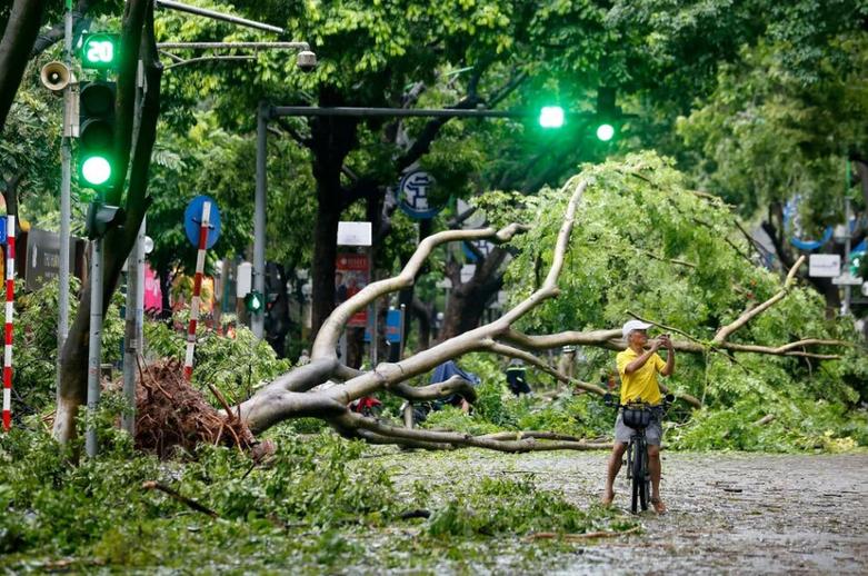 دیدنی های امروز؛ از مراسم اختتامیه پارالمپیک پاریس تا جشنواره های هندو از جا کنده شدن درختان در نتیجه توفان