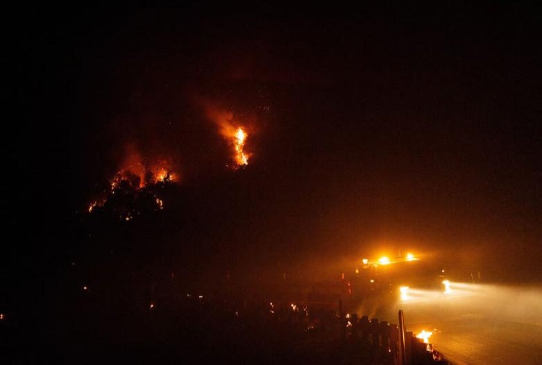 دیدنی های امروز؛ از توفان ویتنام تا جنگ غزه آتش سوزی گسترده جنگل ها و مراتع در ایالت کالیفرنیا