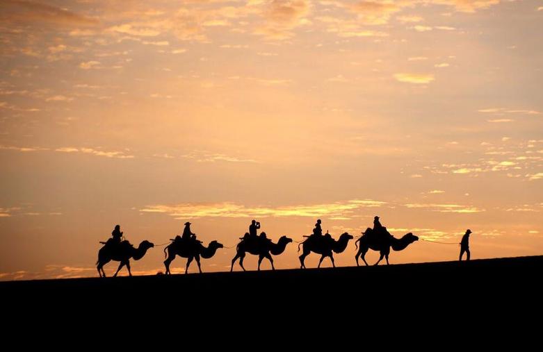 کاروان های شترسوار گردشگران در صحرای چین