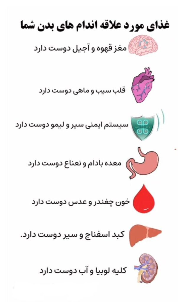 غذای مورد علاقه اندام‌های بدن شما        