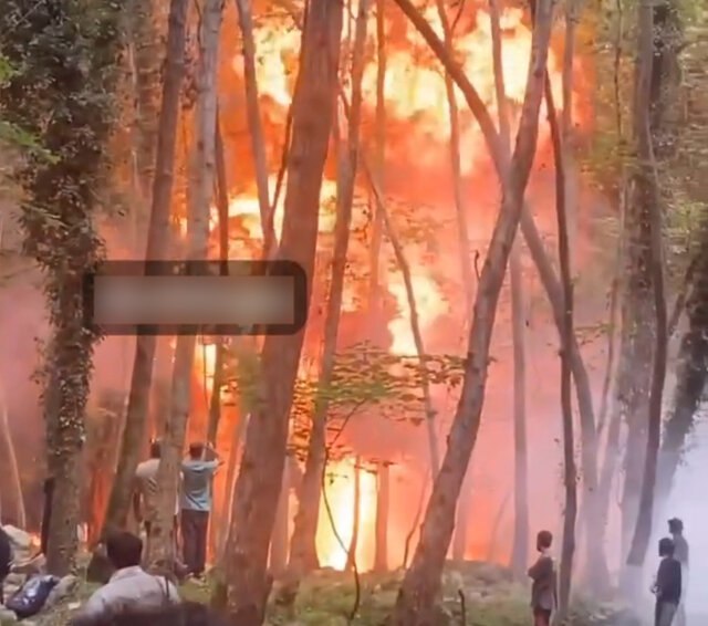 انفجار و حریق در جنگل‌های مازندران