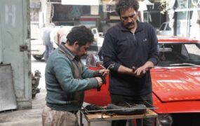 تانک خورها