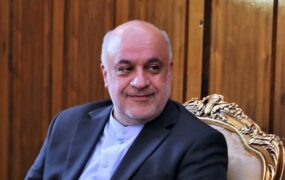 مجتبی امانی