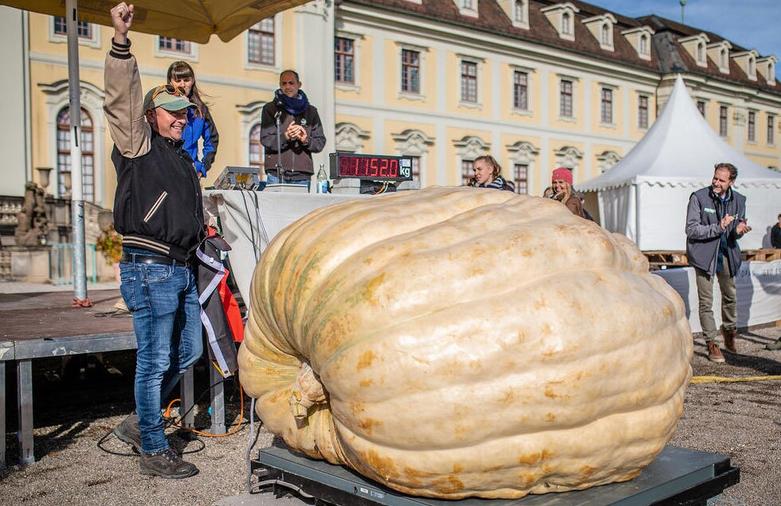 کدو تنبل 1152 کیلویی برنده مسابقه بزرگ ترین کدوتنبل اروپا 