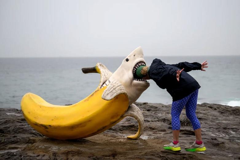 ساحل سیدنی استرالیا