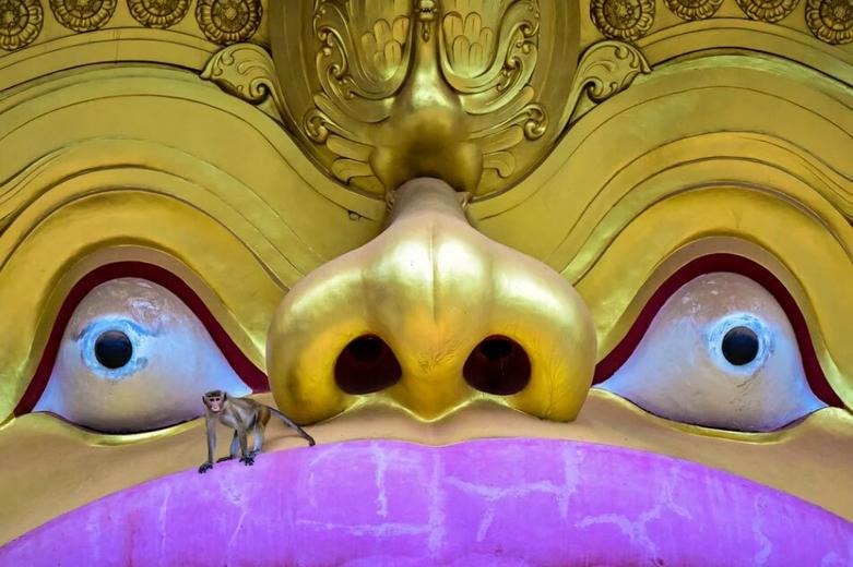 میمونی از مجسمه درِ ورودی معبد طلایی "دامبولا"