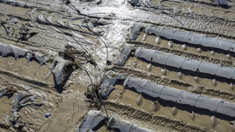 خسارات سیل به مزارع جزیره سیسیل ایتالیا