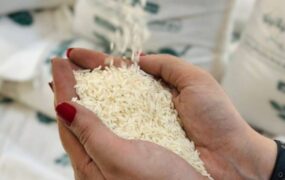 قیمت برنج