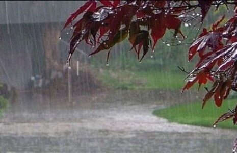 پیش‌بینی باد و باران