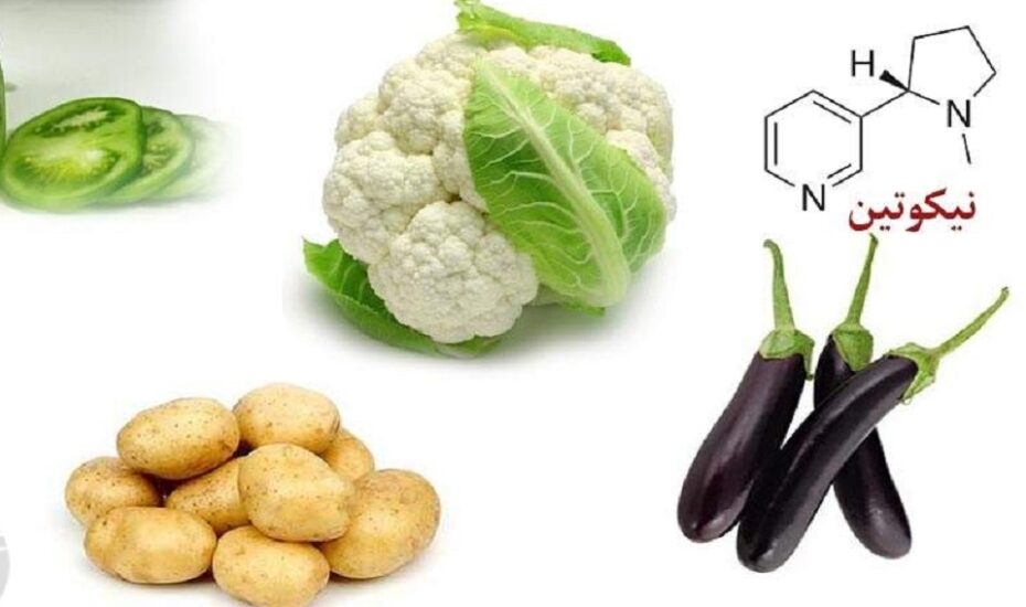 ۸ ماده غذایی حاوی نیکوتین
