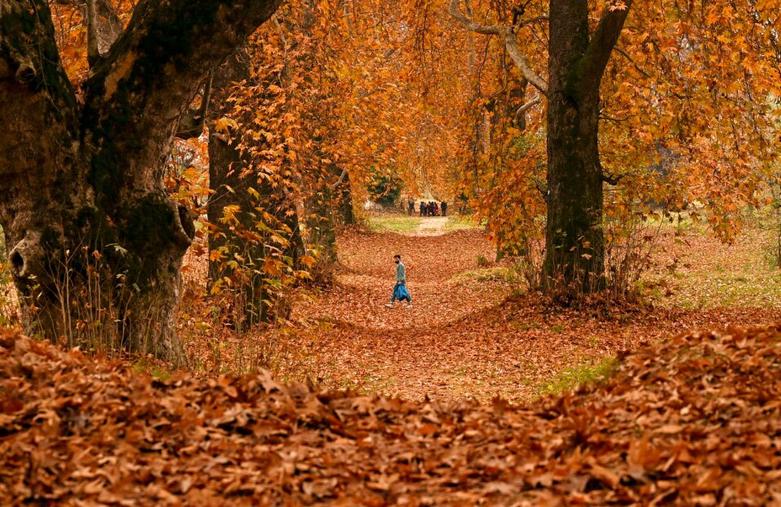 طبیعت پاییزی کشمیر