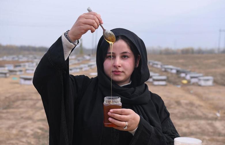 دیدنی های امروز؛ از جنگ غزه و لبنان تا جنگ اوکراین یک مزرعه زنبورداری در سرینگر کشمیر