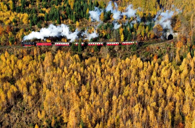 عبور قطار از یک محوطه جنگلی