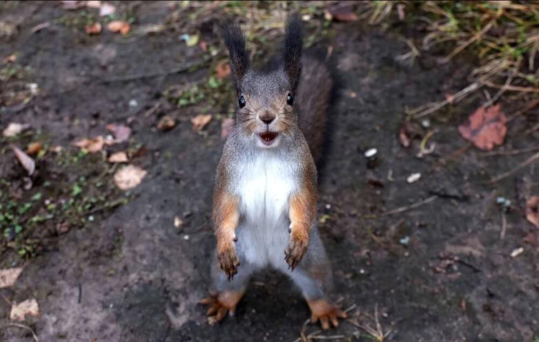 پارکی در مسکو