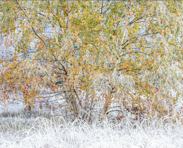 20 عکس برجسته در بخش بهترین های طبیعت پاییز و زمستان