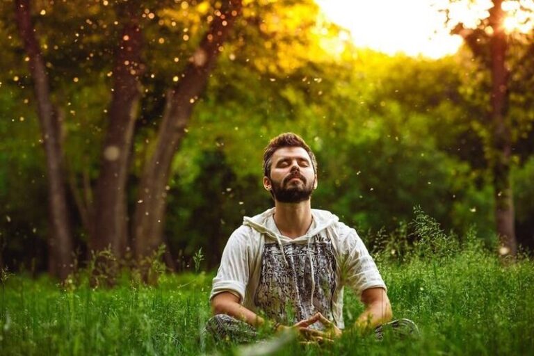آفتاب پاییزی