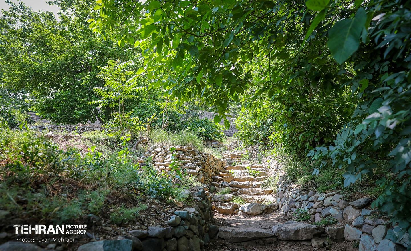 اکوپارک فرحزاد