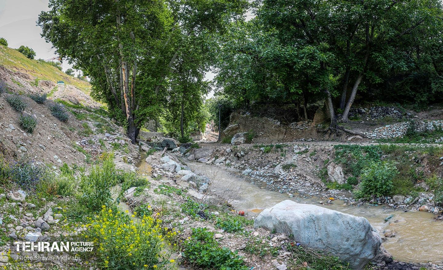 اکوپارک فرحزاد