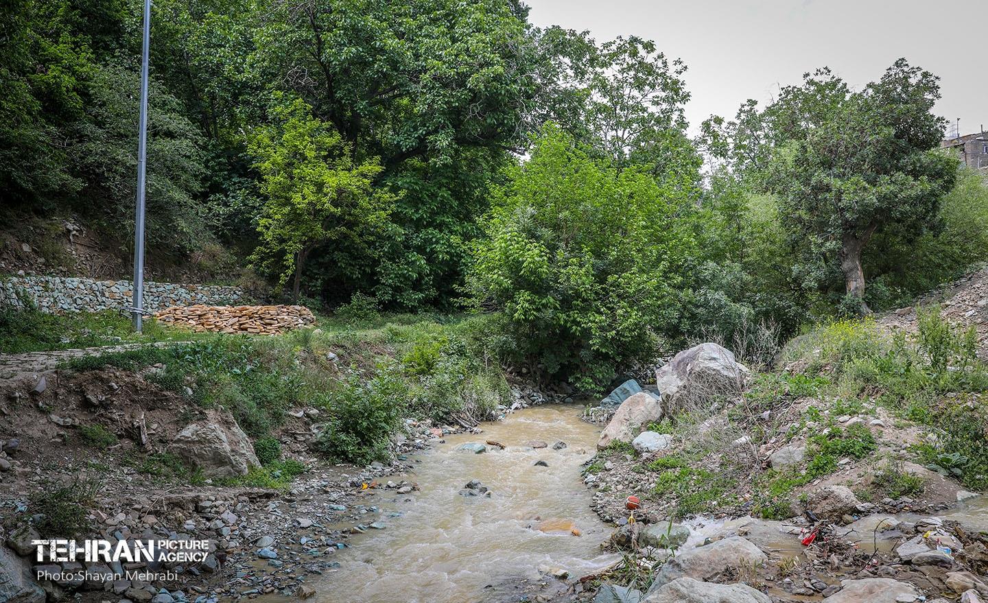 اکوپارک فرحزاد