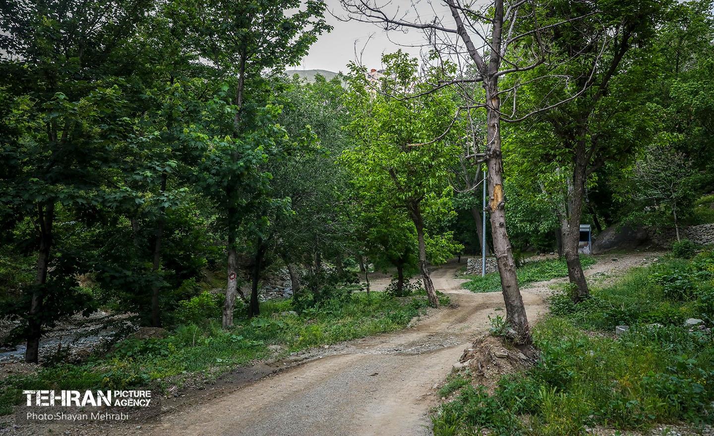 اکوپارک فرحزاد