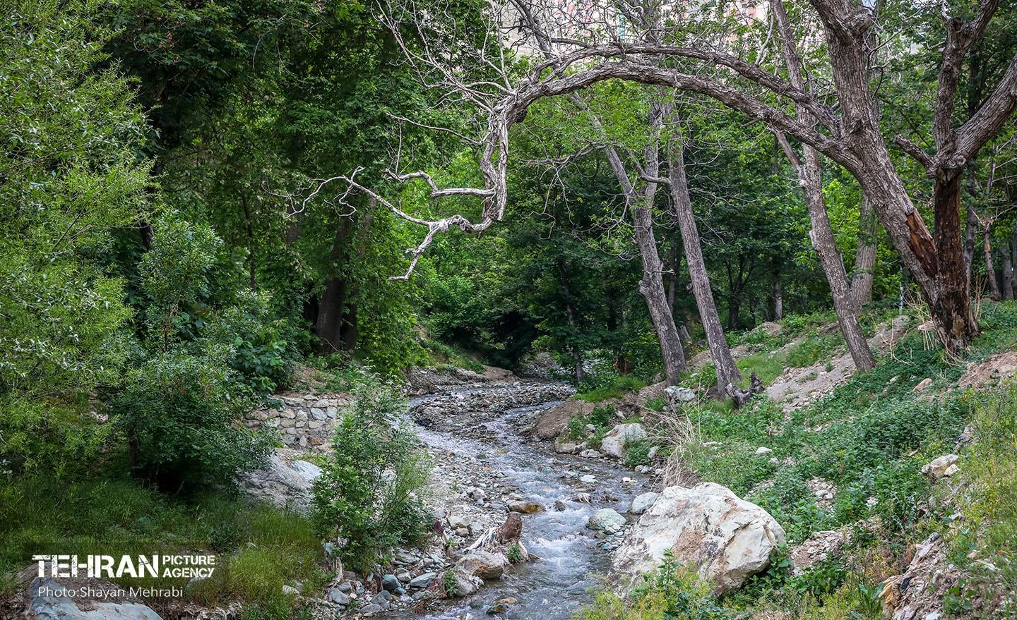 اکوپارک فرحزاد