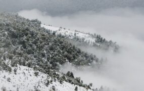 بارش و باد