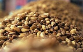 محموله پسته ایران اتحادیه اروپا