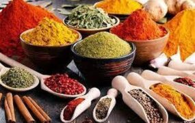داروهای گیاهی