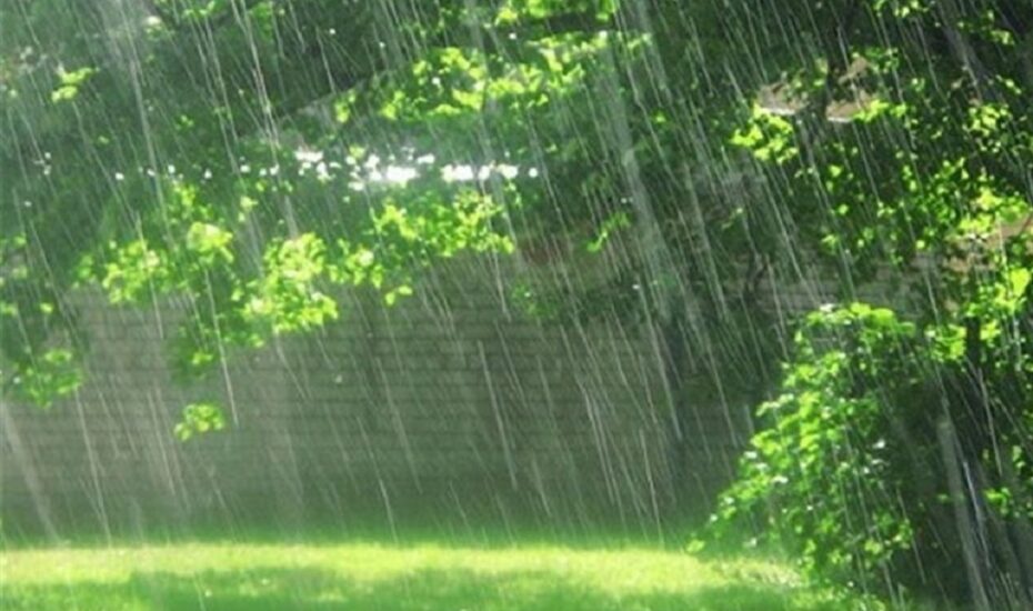 فردا سامانه بارشی