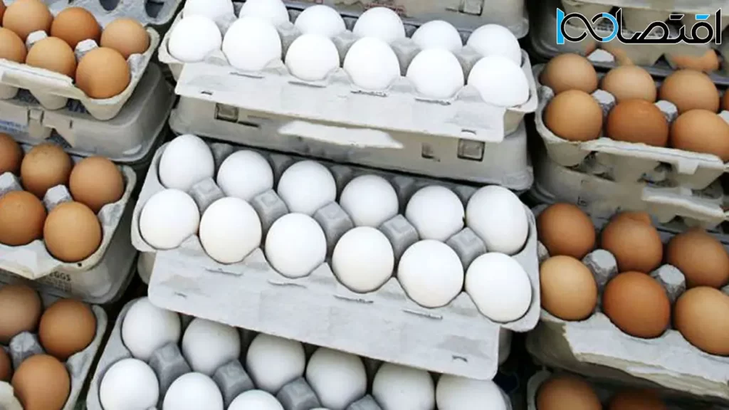 قیمت تخم مرغ