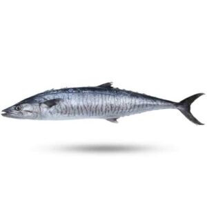 تصاویری جالب و باورنکردنی از رفاقت دو ماهی