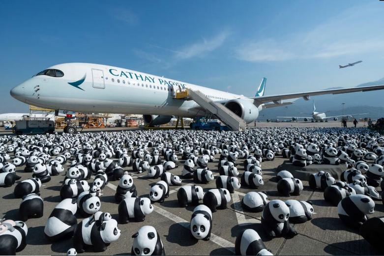 استقبال از نمایشگاه پاندا 