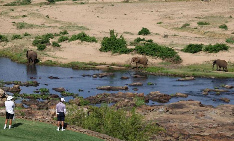 پارک ملی "کروگر" در آفریقای جنوبی