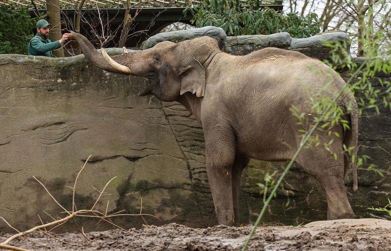 باغ وحش هامبورگ آلمان