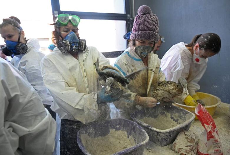 پاکسازی آلودگی نفتی روسیه