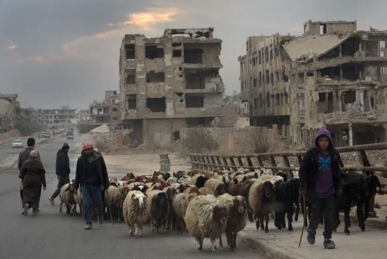 عبور یک گله گوسفند از ویرانه های شهر دمشق