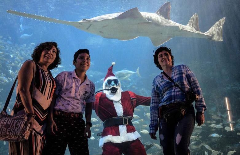 عکس گرفتن با غواص نوئل