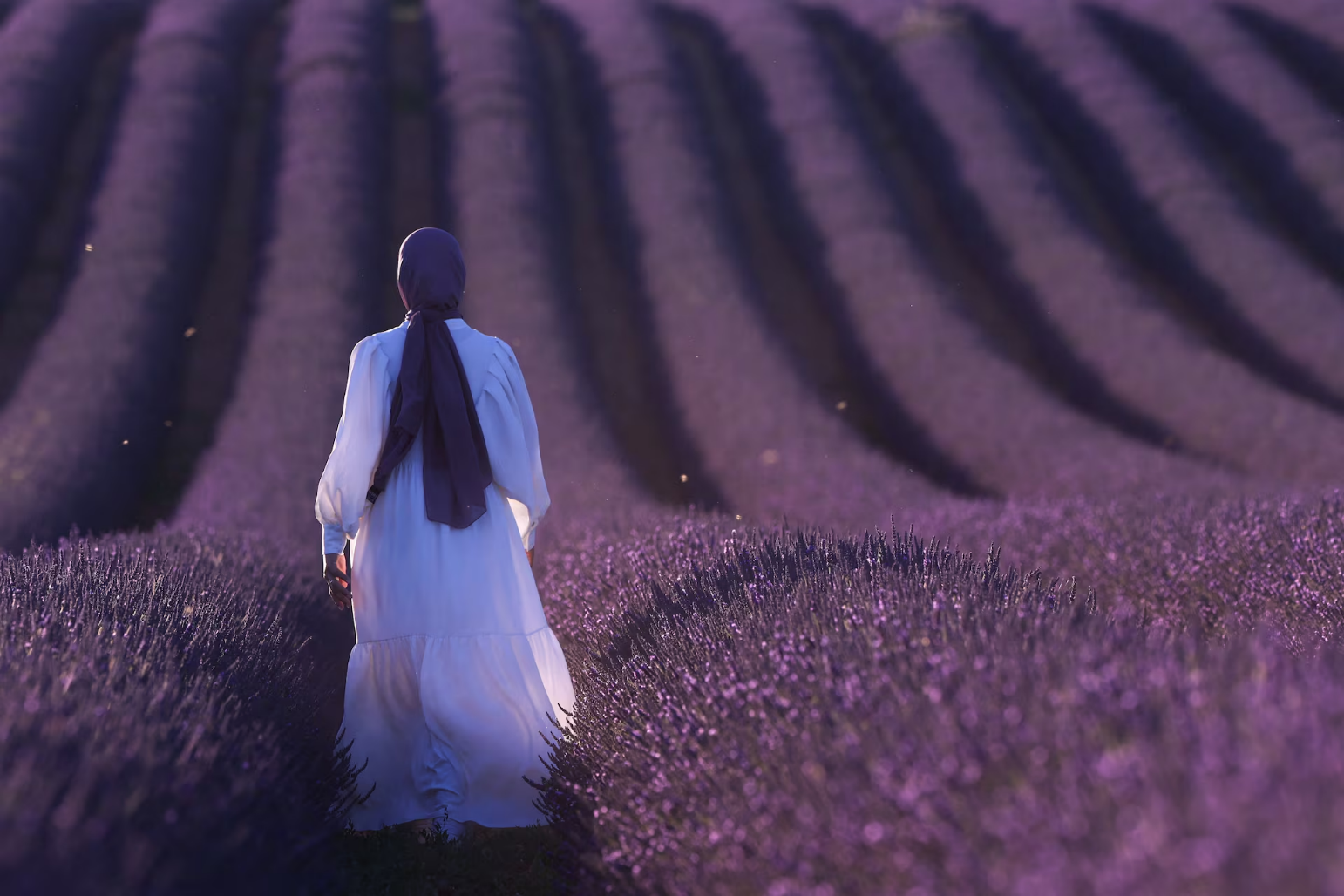 برترین عکسهای منتخب از سراسر جهان در 2024 برترین عکسها