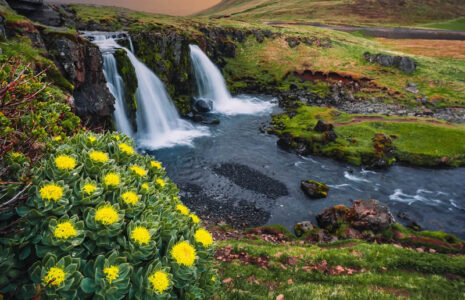 عکاسی طبیعت
