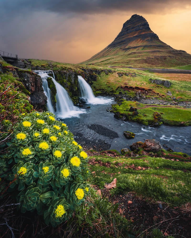 عکاسی طبیعت