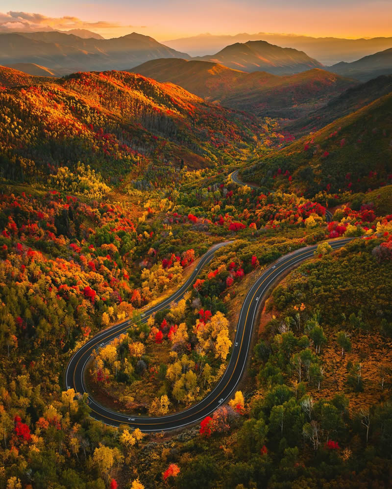 عکاسی طبیعت