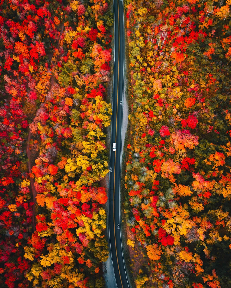 عکاسی طبیعت