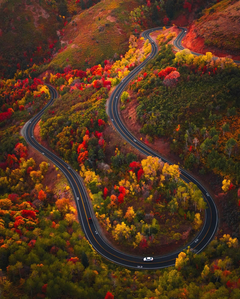 عکاسی طبیعت