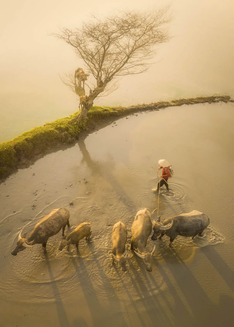 عکس های هوایی از فام هوی ترونگ