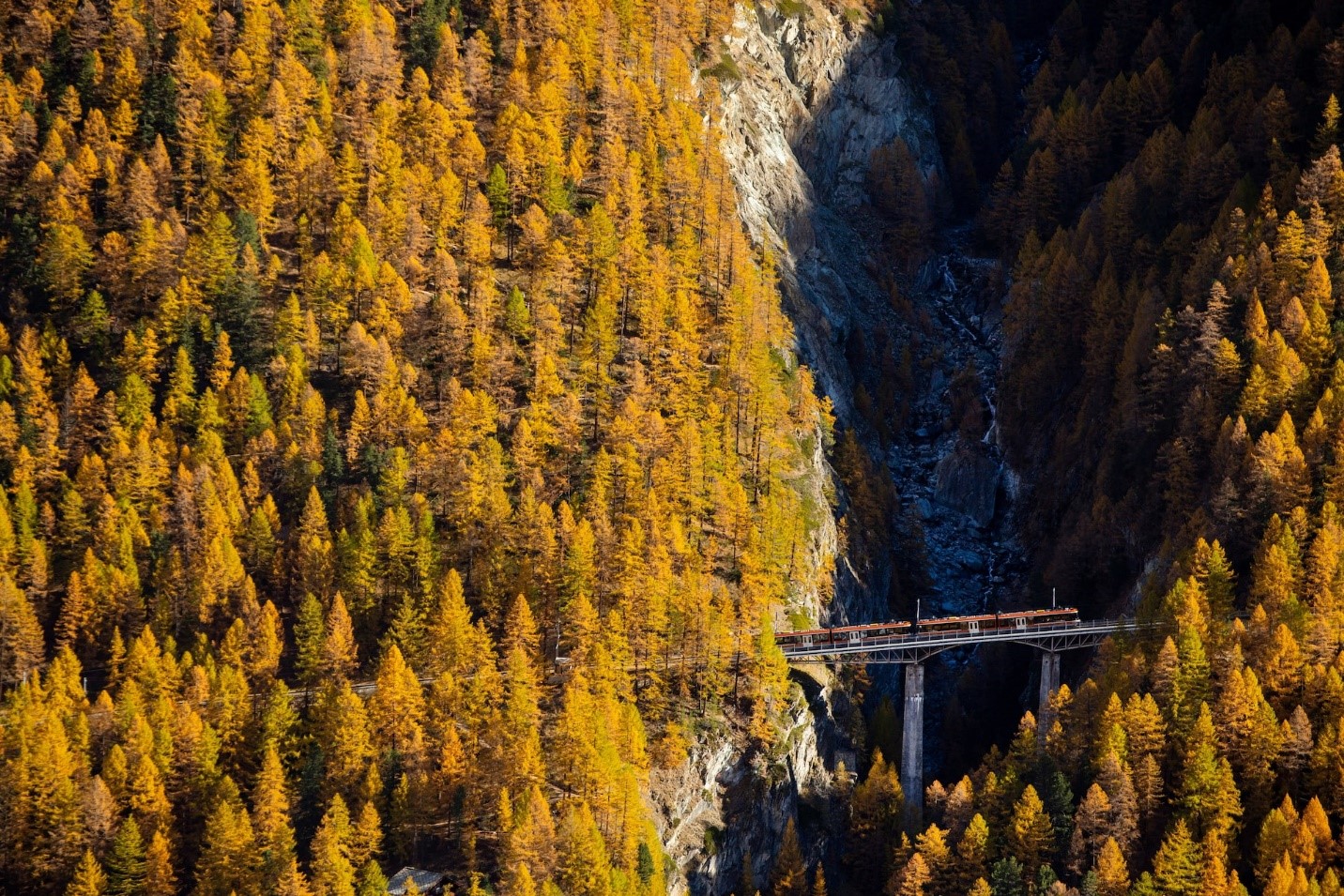 برترین عکسهای منتخب از سراسر جهان در 2024 برترین عکسها