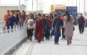 اتباع خارجی