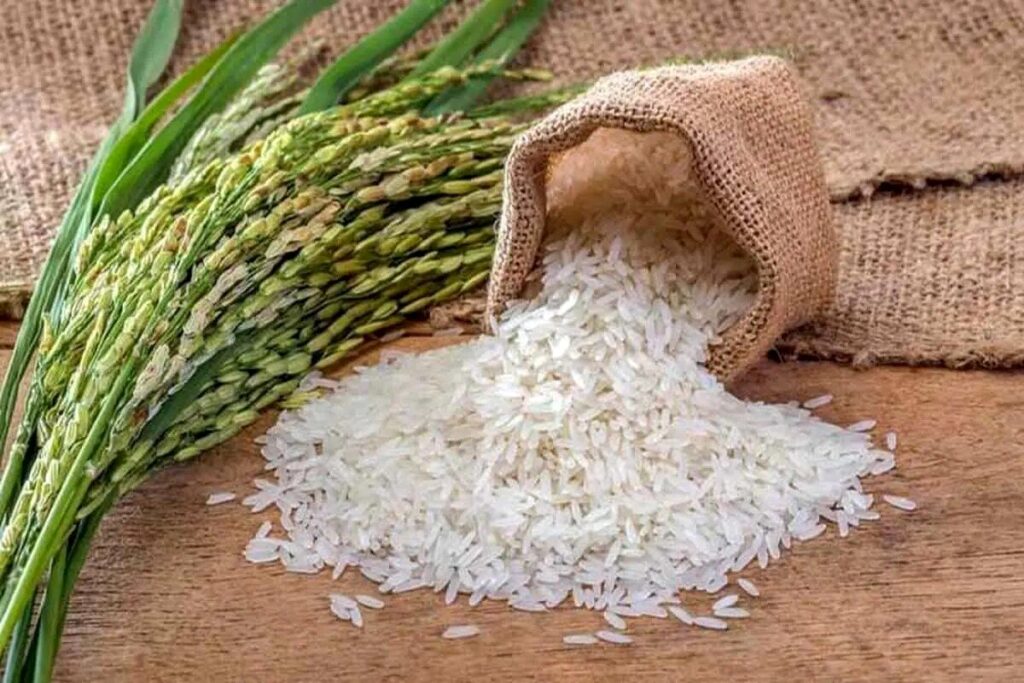 برنج (1)