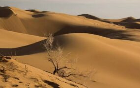 کویر مرنجاب ابوزیدآباد