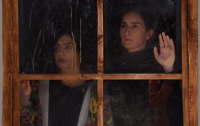 دانه انجیر معابد