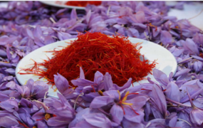زعفران